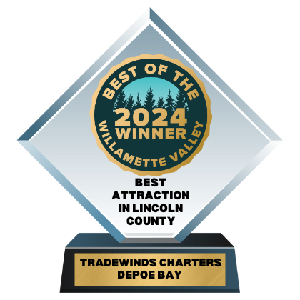Award - Best Attraction 2024